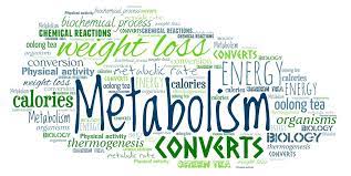 Breakfast and metabolism