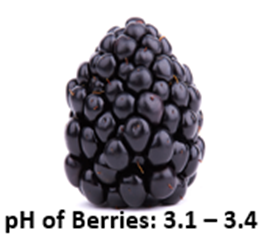 pH of Berries: 3.1 – 3.4